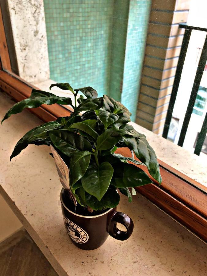 Napoli City Inn 外观 照片